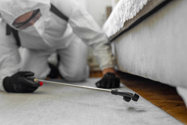 Professional Pest Control technician working in Maryland, MD